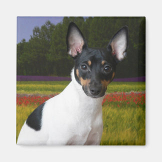 Íman Toy Fox Terrier Magnet