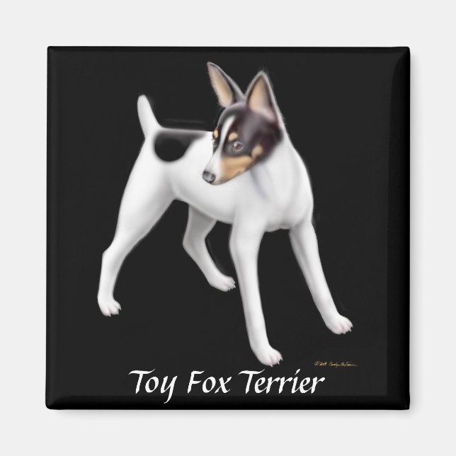 Íman Toy Fox Terrier Magnet (Frente)