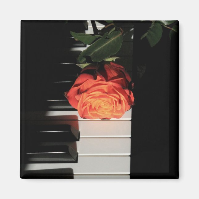 Íman Trabalho de arte de Piano Incrível (Frente)