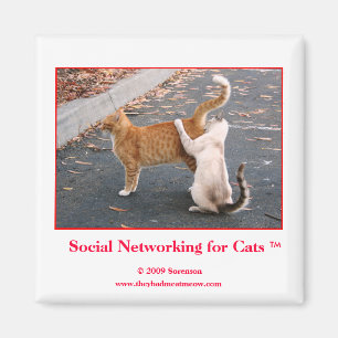 Íman Trabalhos em rede sociais para o ímã dos gatos