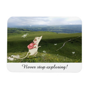 Íman Traje de um Rato de Cartoon