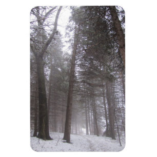 Íman Trajeto da floresta do inverno