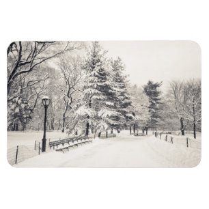 Íman Trajeto do inverno do Central Park - Nova Iorque