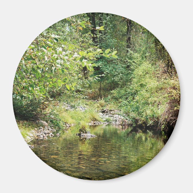 Íman Tranquilidade na floresta...... (Frente)