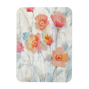 Íman Translúcido II