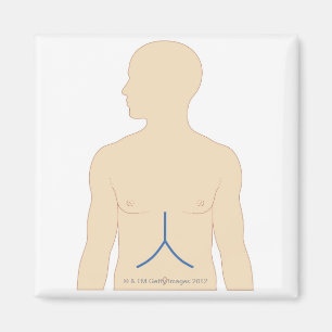 Íman Transplante hepático