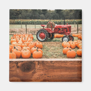 Íman Trator e Pumpkins