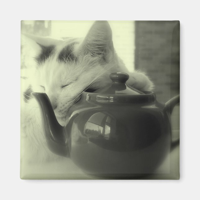 Íman Travesseiro de bule (Frente)