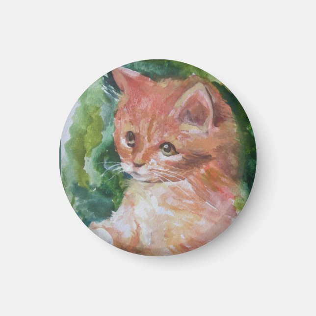 Íman Travesseiro gatinho 2m (Frente)