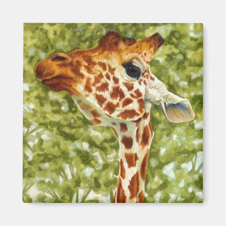 Íman Tree Topper - Girafa Magnet