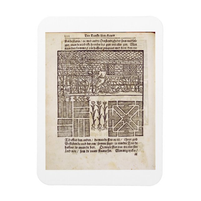 Íman Treinamento e Plantação no jardim, de "O Duto" (Vertical)