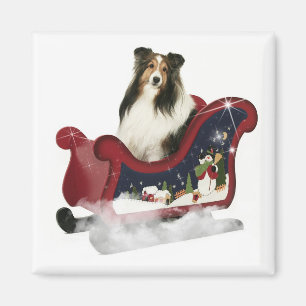 Íman Trenó mágico Sheltie