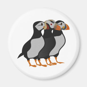 Íman Três Adoráveis Puffin de Pé Junto
