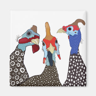 Íman Três Aves De Cabra De Guiné Cortadas