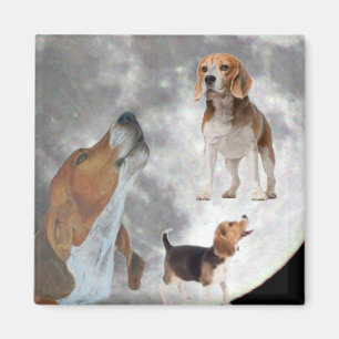 Íman Três Beagles e a Lua Magnet