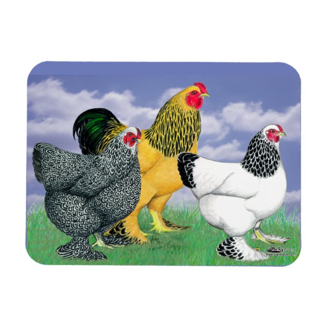 Íman Três Brahmas (Horizontal)