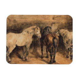 Íman Três Cavalos na sua estábula