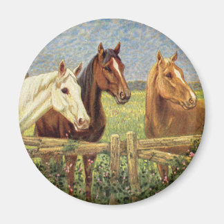 Íman Três Cavalos Vintage