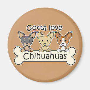 Íman Três chihuahuas