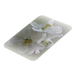 Íman três flores brancas