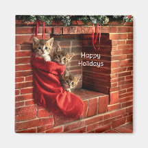 Três gatinhos numa Magnet Meia de Natal