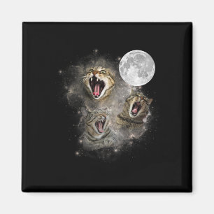 Íman Três Gatos Moon Engraçado Memória Maldita