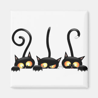 Íman Três gatos pretos