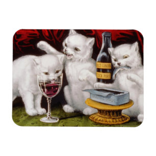 Íman Três Jolly Kittens no Banquete