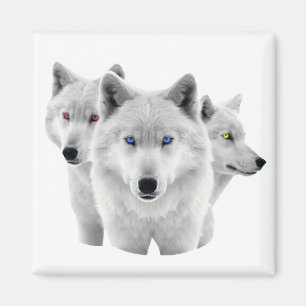 Íman Três Lobos Brancos