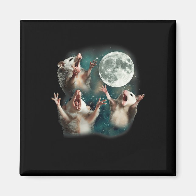 Íman Três Lua Possum _ 3 Ogambm Estranho Engraçado M (Frente)