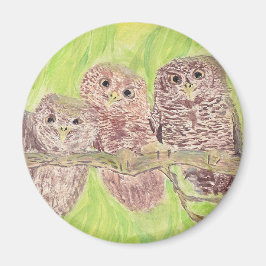 Íman Três Pequenas Corujas De Vassoura - pintura acríli