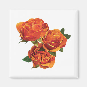 Íman Três rosas alaranjados