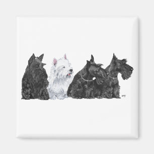 Íman Três Scotties Curiosos e um Westie