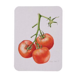 Íman Três tomates na videira 1997