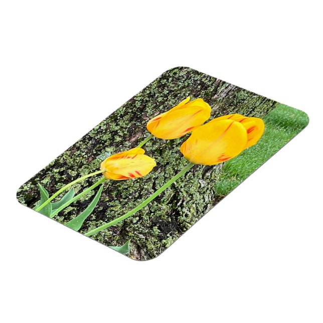Íman Três Tulipas Amarelas / Flexível (Left Side)