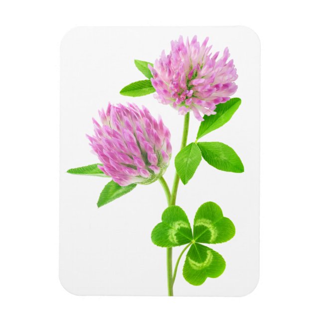 Íman Trevo rosa (Vertical)