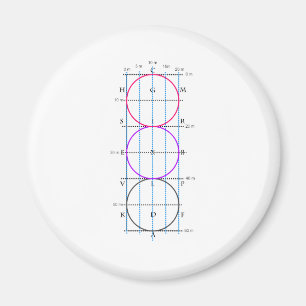 Íman Tribunal de Dressage 20x60m **Círculos**