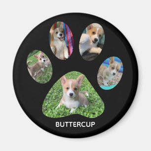 Íman Tributação de Impressão de Pet Fotografe Person