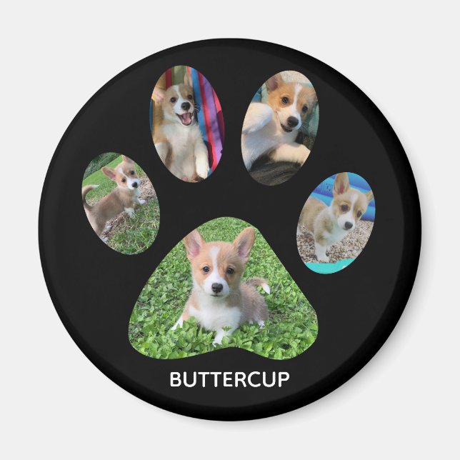 Íman Tributação de Impressão de Pet Fotografe Personali (Frente)