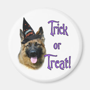 Íman Trick german shepherd Dog (sable)