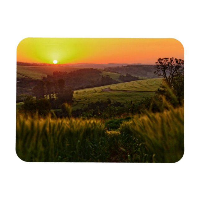 Íman Trigo agrícola sunset (Horizontal)