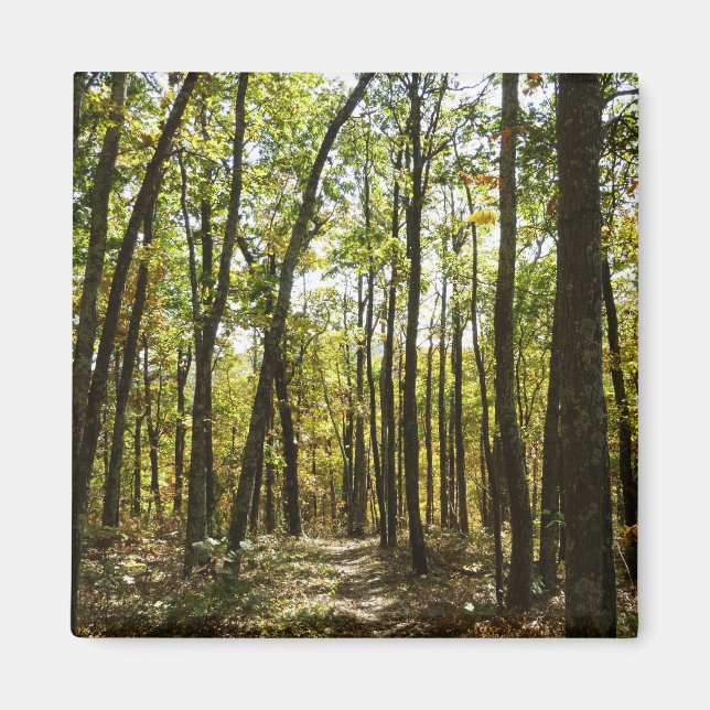 Íman Trilha Appalachian em outubro em Shenandoah (Frente)