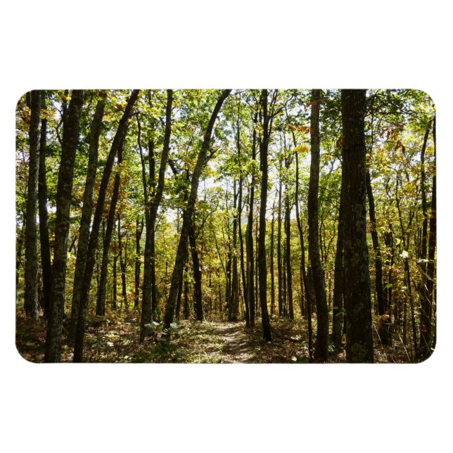 Íman Trilha Appalachian em outubro em Shenandoah (Horizontal)