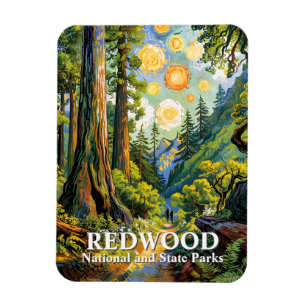 Íman Trilha de caminhada no Parque Nacional Redwood Van