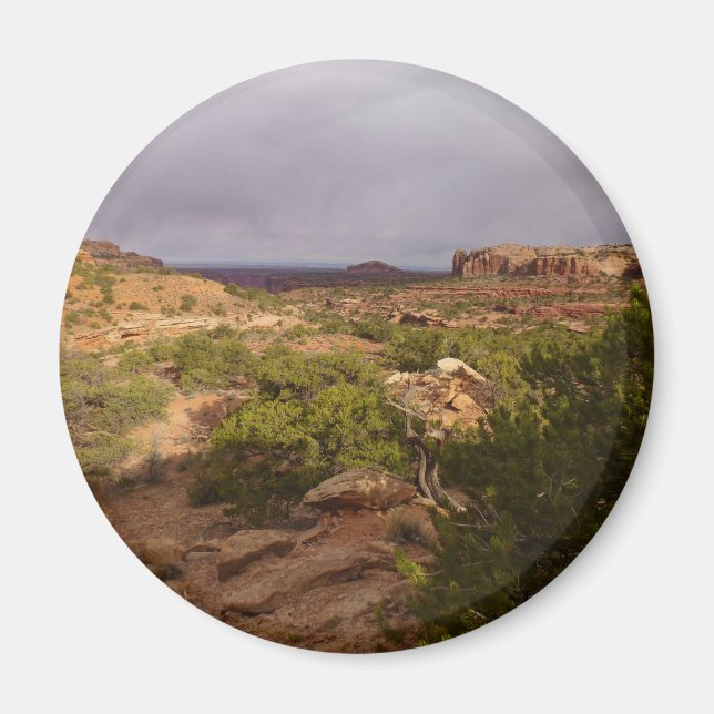 Íman Trilha de Primaveras de Pescoço no Parque Nacional (Frente)