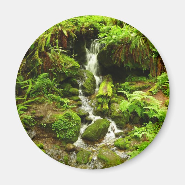 Íman Trillium Falls no Parque Nacional de Redwood (Frente)