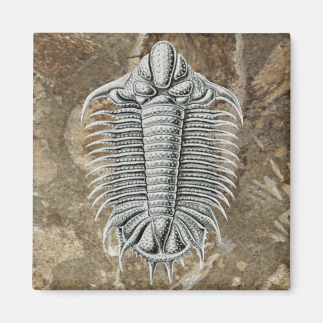 Íman Trilobite Magnet (Frente)