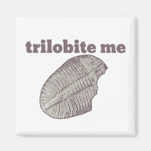 Íman Trilobite mim