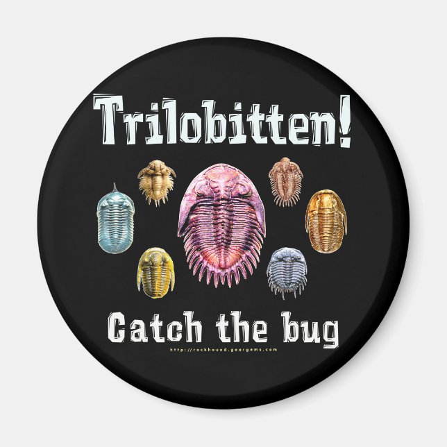 Íman Trilobitten (Frente)