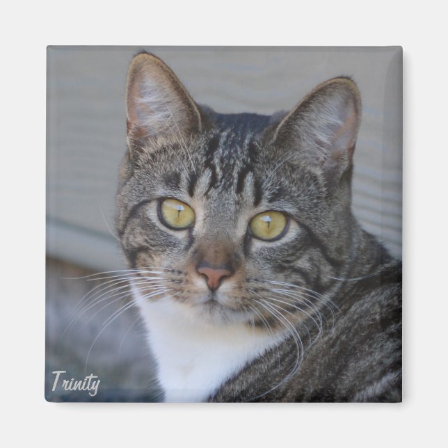 Íman Trindade (Frente)